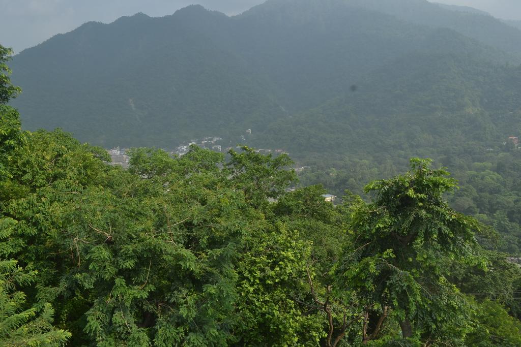 Mount Valley Mama Cottage Rishīkesh Oda fotoğraf