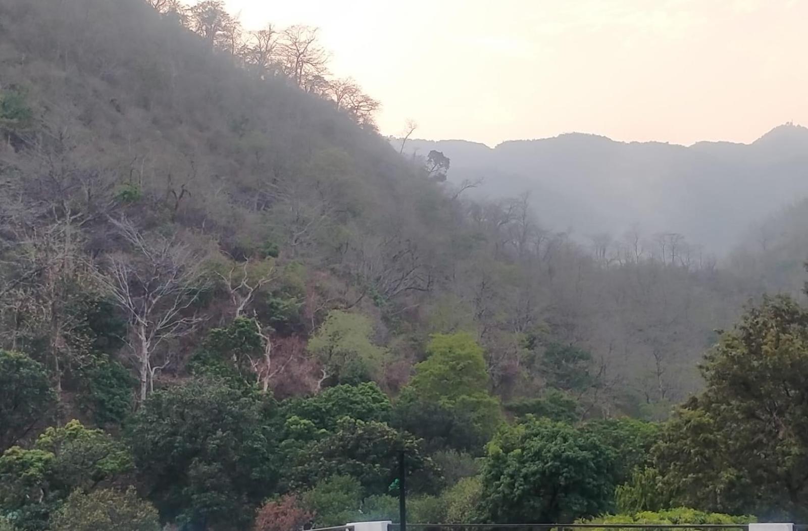 Mount Valley Mama Cottage Rishīkesh Dış mekan fotoğraf